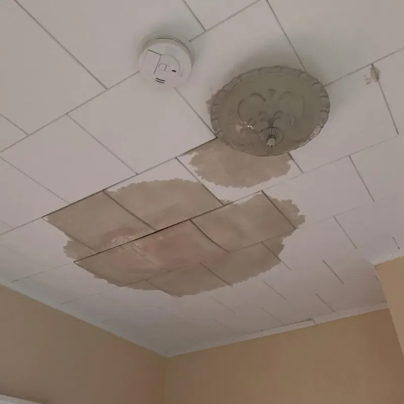 Ceiling Water Damage Repair in Blue Mound, IL