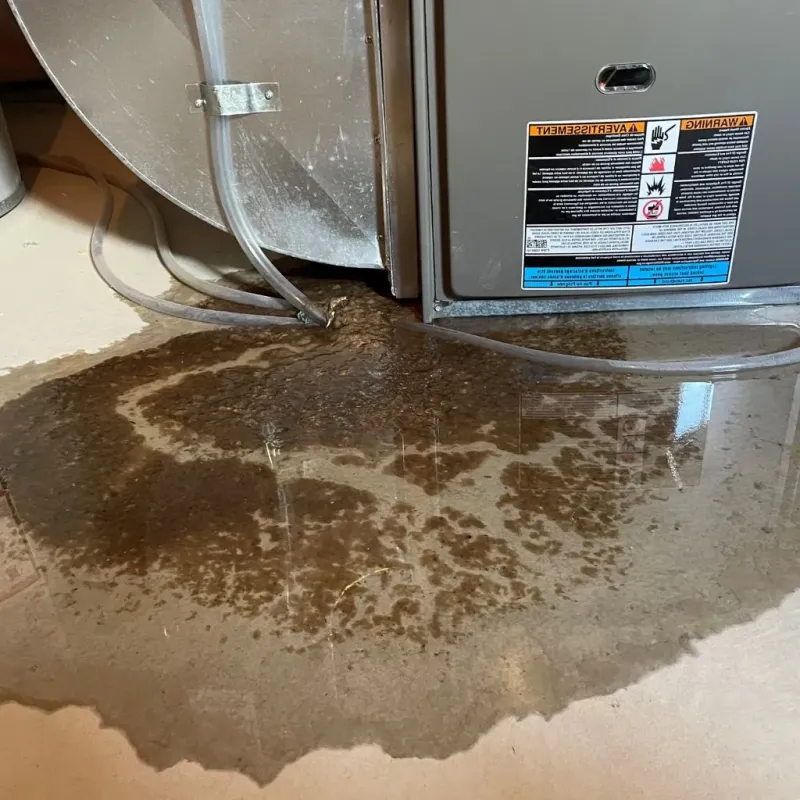 Pipe Burst and Leak Restoration in Blue Mound, IL