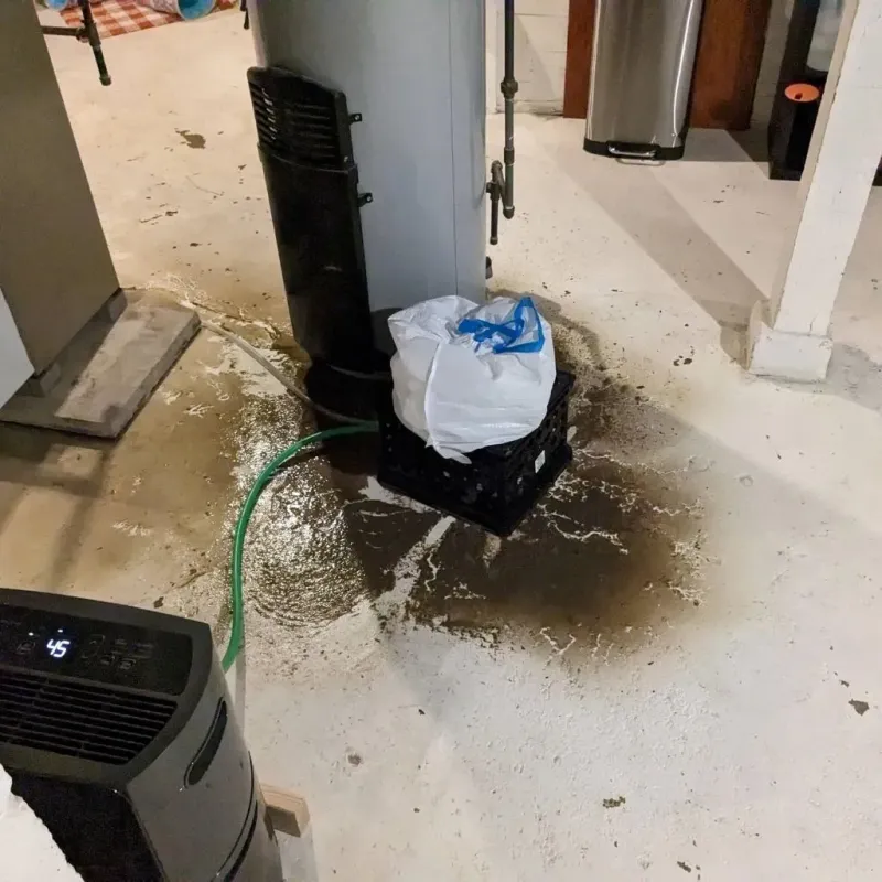Sewage Backup Cleanup Service in Blue Mound, IL